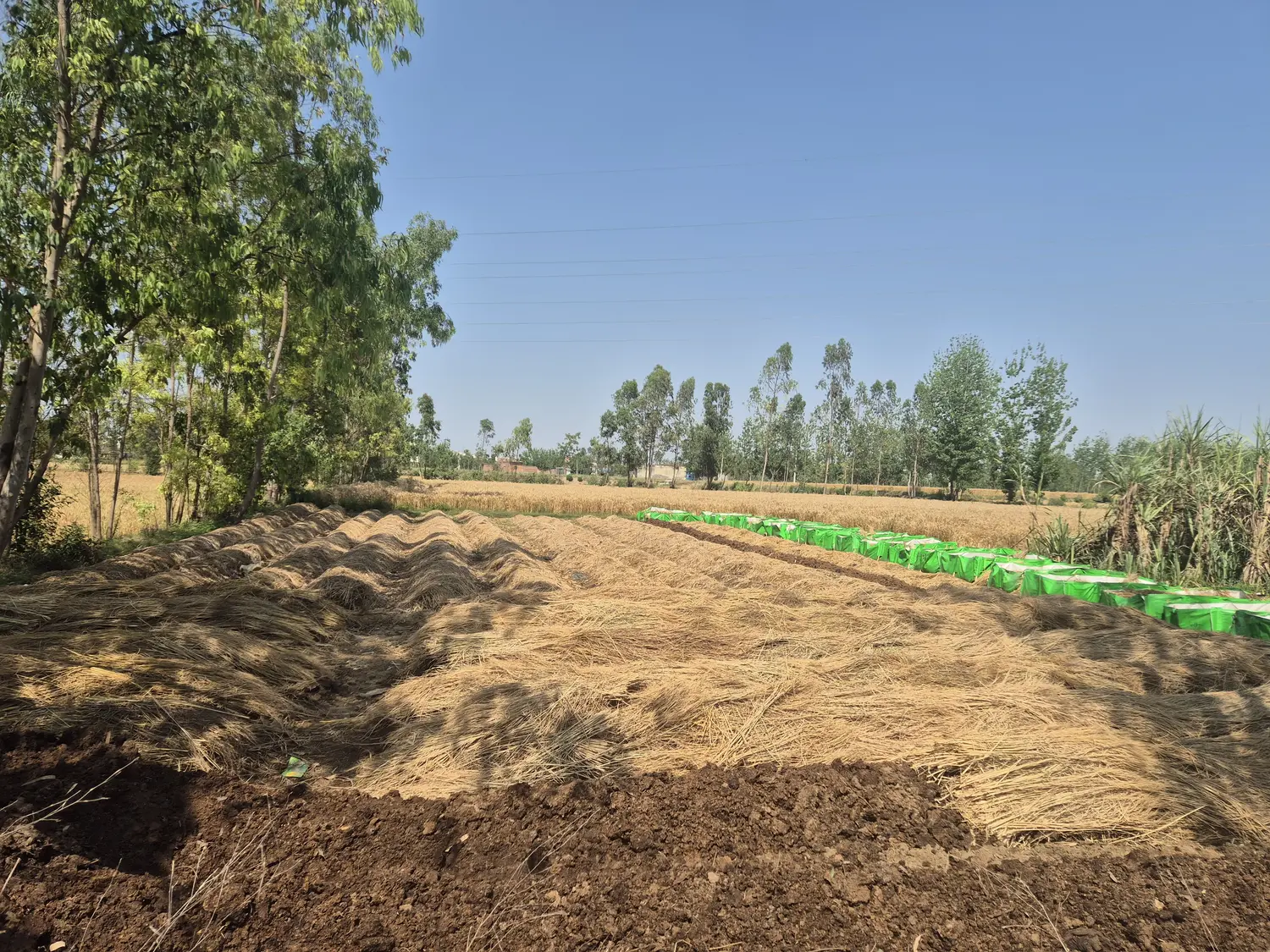 20250413_143154 (1).webp